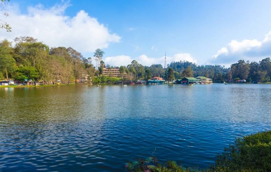 Kodaikanal Tour Packages