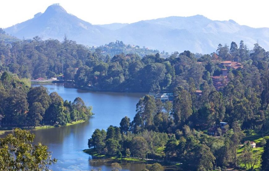 Kodaikanal Tour Packages