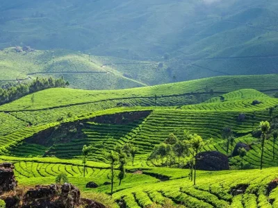 Munnar-Tourism