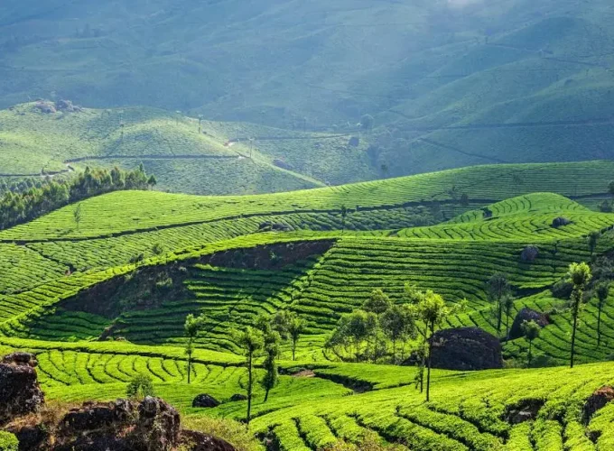 Munnar-Tourism