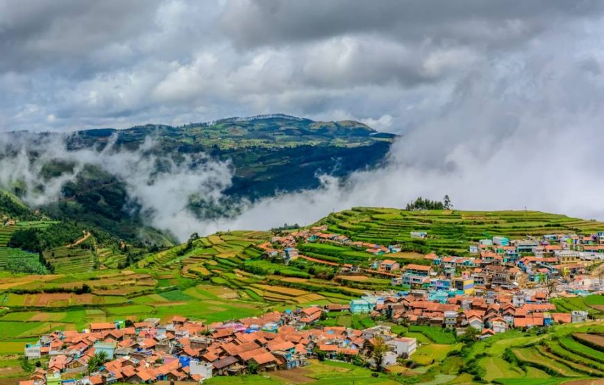 Kodaikanal Tour Packages